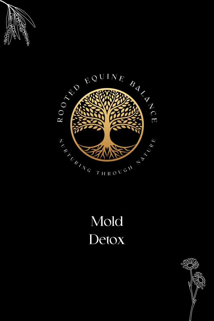 Mold Detox